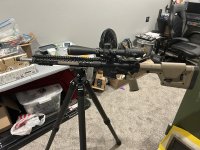 IMG_4276.jpeg