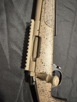 IMG_5971.jpeg