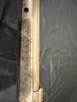 IMG_5984.jpeg
