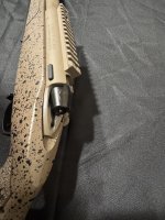 IMG_5986.jpeg