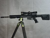 IMG_9391.jpeg