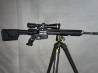IMG_9395.jpeg