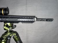 IMG_9396.jpeg