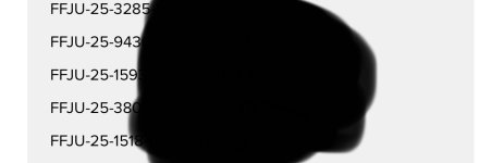 IMG_2881.jpeg