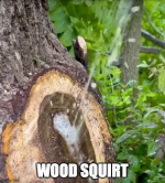 1753216719643.png