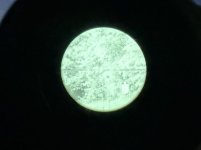 signal-2025-07-22-192020.jpeg