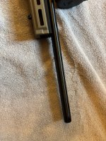 IMG_3446.jpg