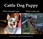 IMG_6795.jpeg