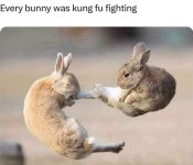 IMG_6796.jpeg