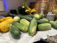 IMG_5456.jpeg