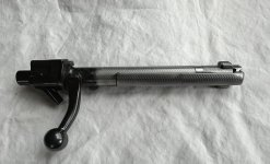 IMG_2241.jpeg