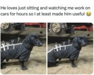 IMG_1743.jpeg