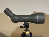 IMG_8509.jpeg