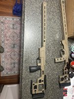 IMG_8446.jpeg