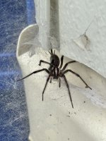 IMG_5458.jpeg