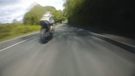1753406072553.gif