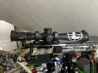 IMG_7972.jpeg
