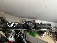 IMG_7971.jpeg