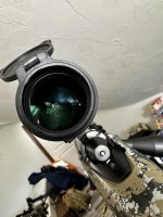 IMG_7973.jpeg
