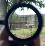 IMG_2516.jpeg