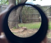 IMG_2525.jpeg