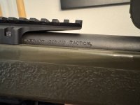 IMG_7615.jpeg