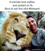 1753570929854.png