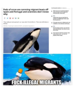 1753579655982.png