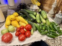 IMG_5462.jpeg