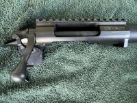 IMG_1021.jpeg