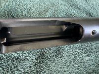 IMG_1029.jpeg