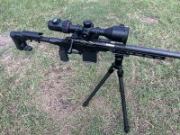IMG_0906.jpeg
