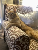 IMG_1790.jpeg