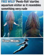 1753992104618.png
