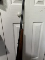 IMG_3211.jpeg