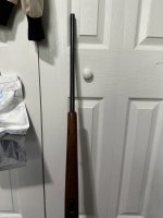 IMG_3212.jpeg