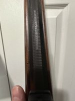 IMG_3224.jpeg