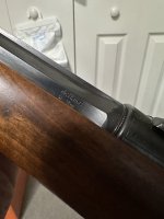 IMG_3225.jpeg