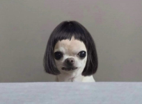 1754001652507.png