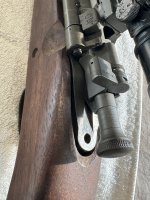 IMG_2876.jpeg