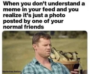 1754070142689.png