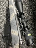 IMG_1458.jpeg