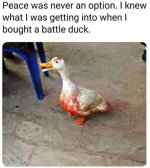 IMG_0808.jpeg