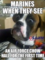 IMG_1771.jpeg