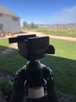 IMG_7600.jpeg