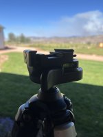 IMG_7601.jpeg