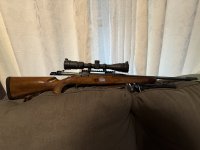 IMG_4212.jpeg