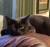 IMG_0248.jpeg