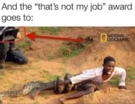 IMG_1765.jpeg