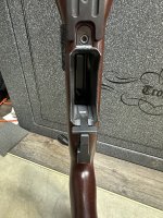 IMG_7153.jpeg